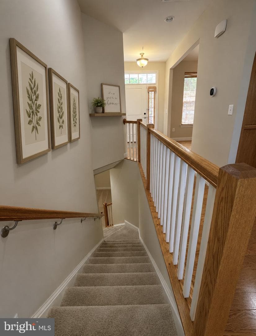 10 Steeplechase Drive photo 22