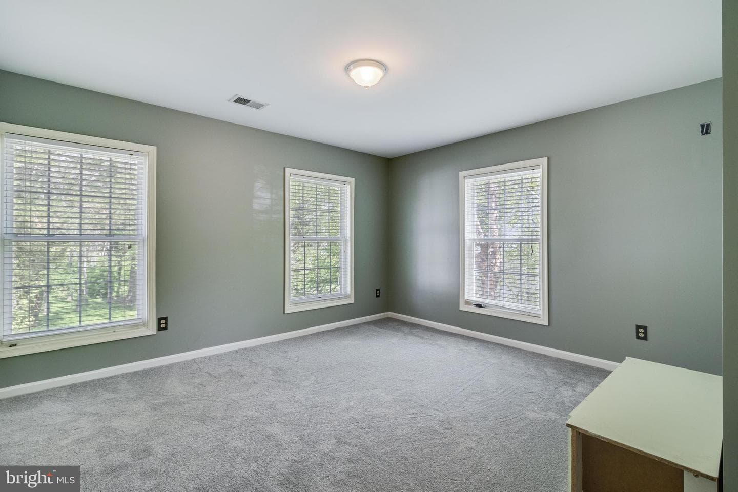 11645 Bachelors Hope Court photo 29