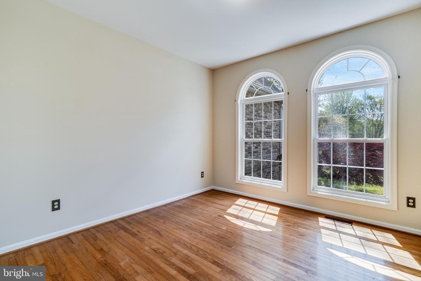11645 Bachelors Hope Court photo 6