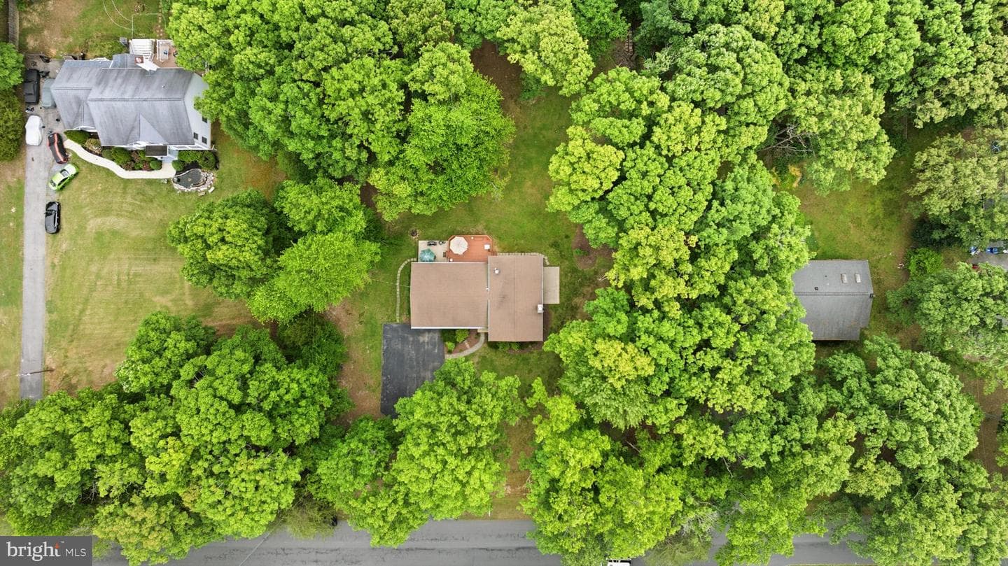 9618 Randall Drive photo 3