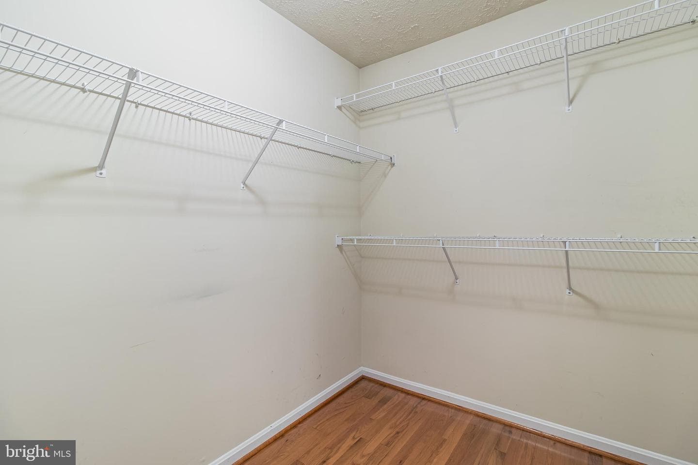 7790 Traeleigh Lane photo 50