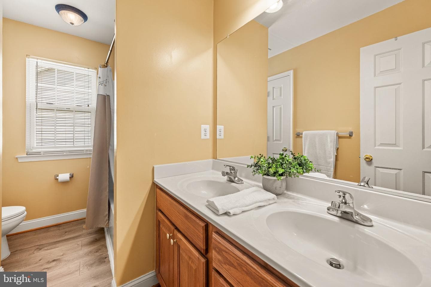 10352 Whittier Court photo 25