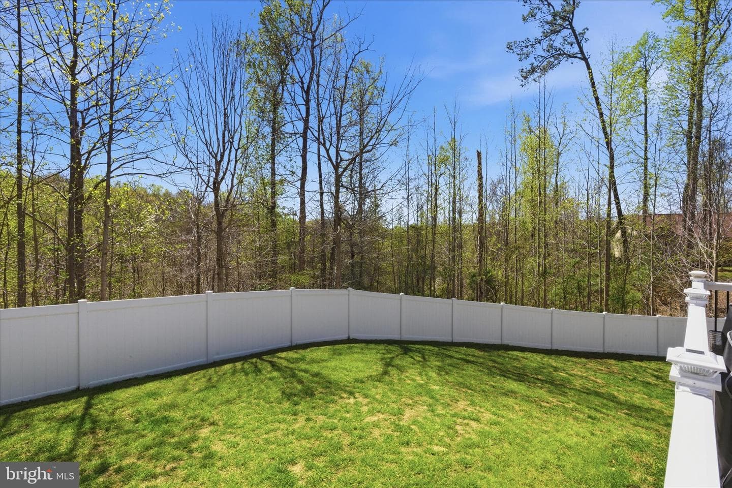 7098 Quicktree Place photo 31