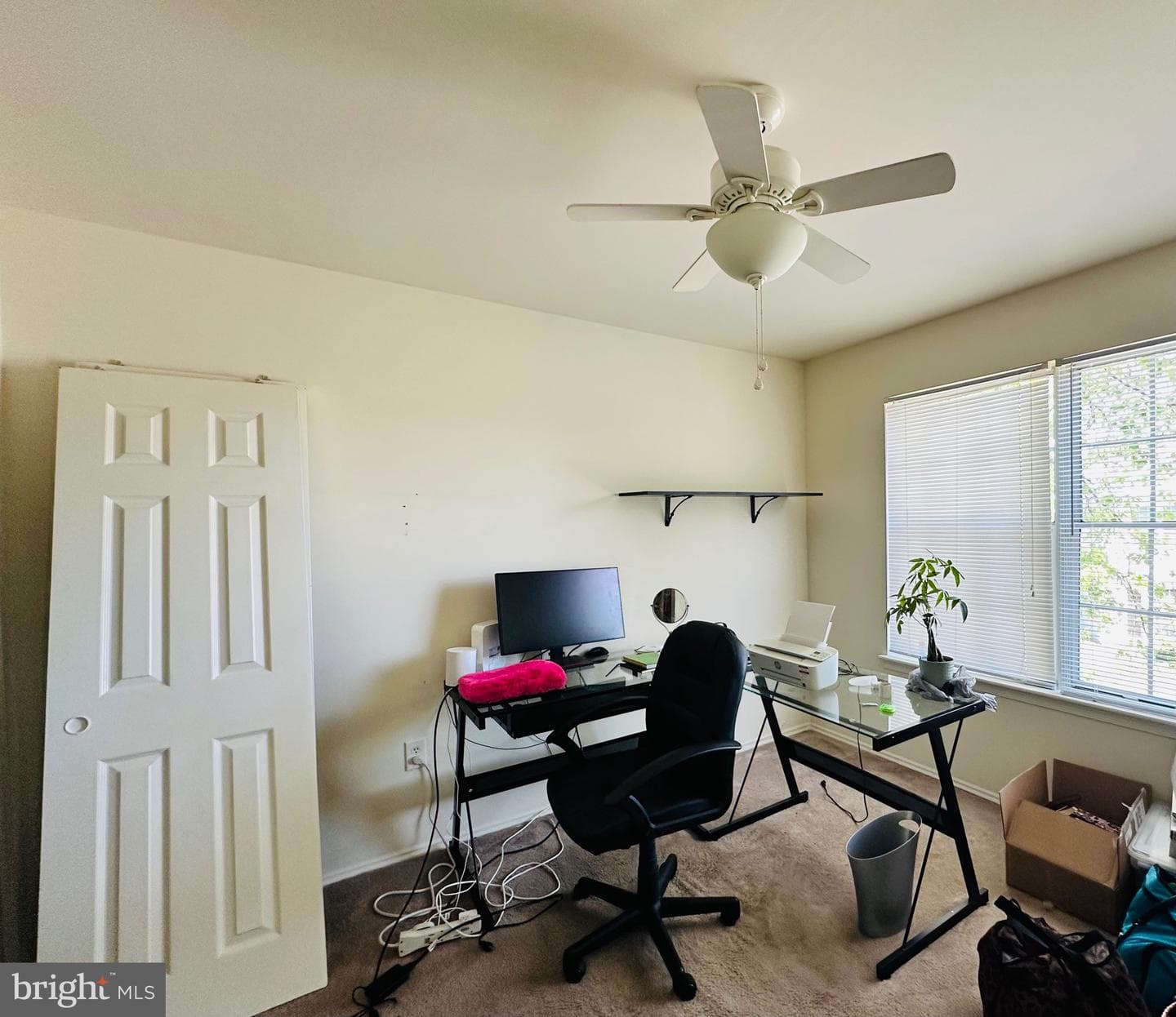 3433 Azalea Place photo 41