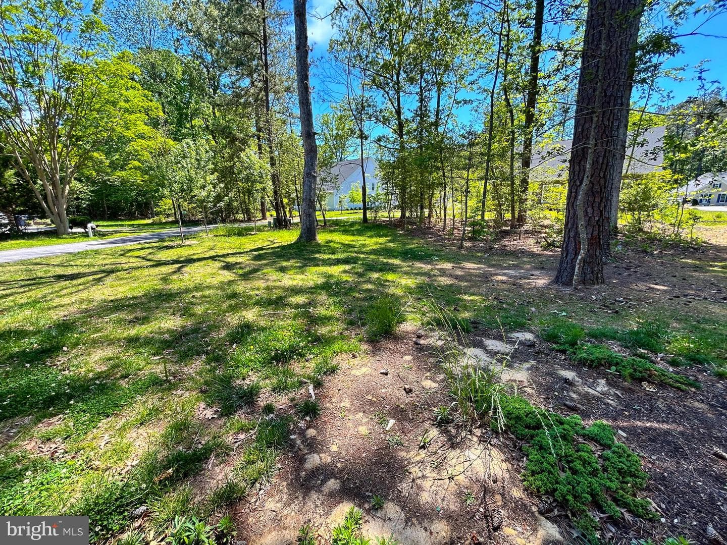 15115 Bayshire Place photo 13