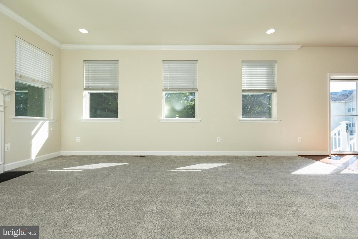 10312 Stewards Chance Lane photo 19