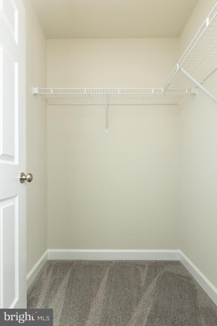 10312 Stewards Chance Lane photo 54