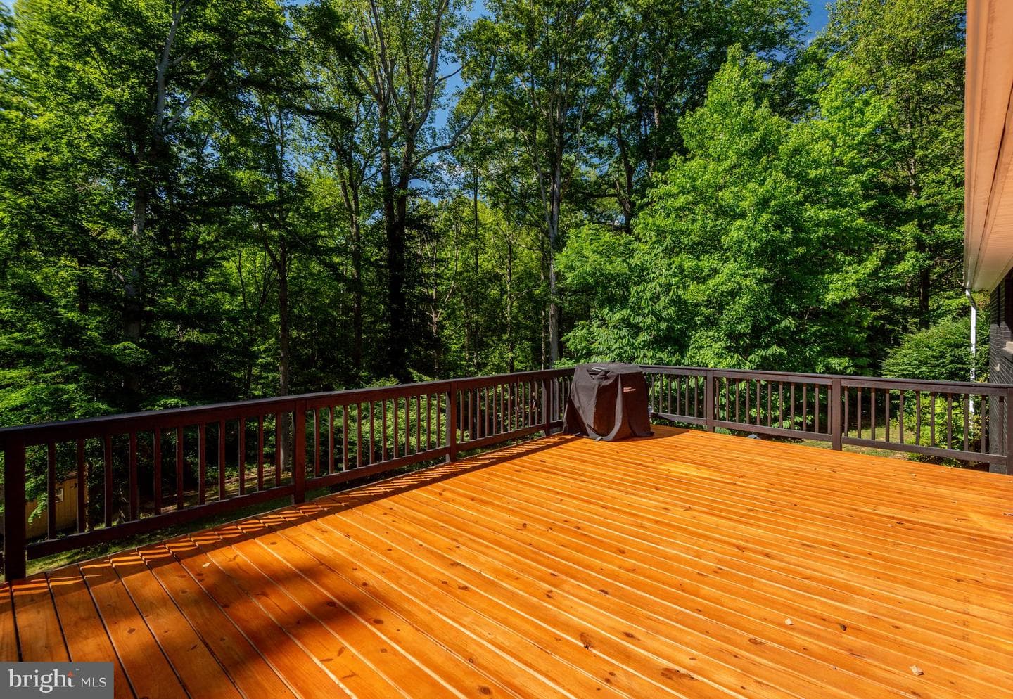 12081 Laplata Road photo 42