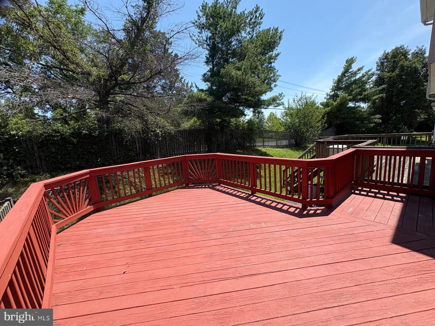 12435 Turtle Dove Place photo 42