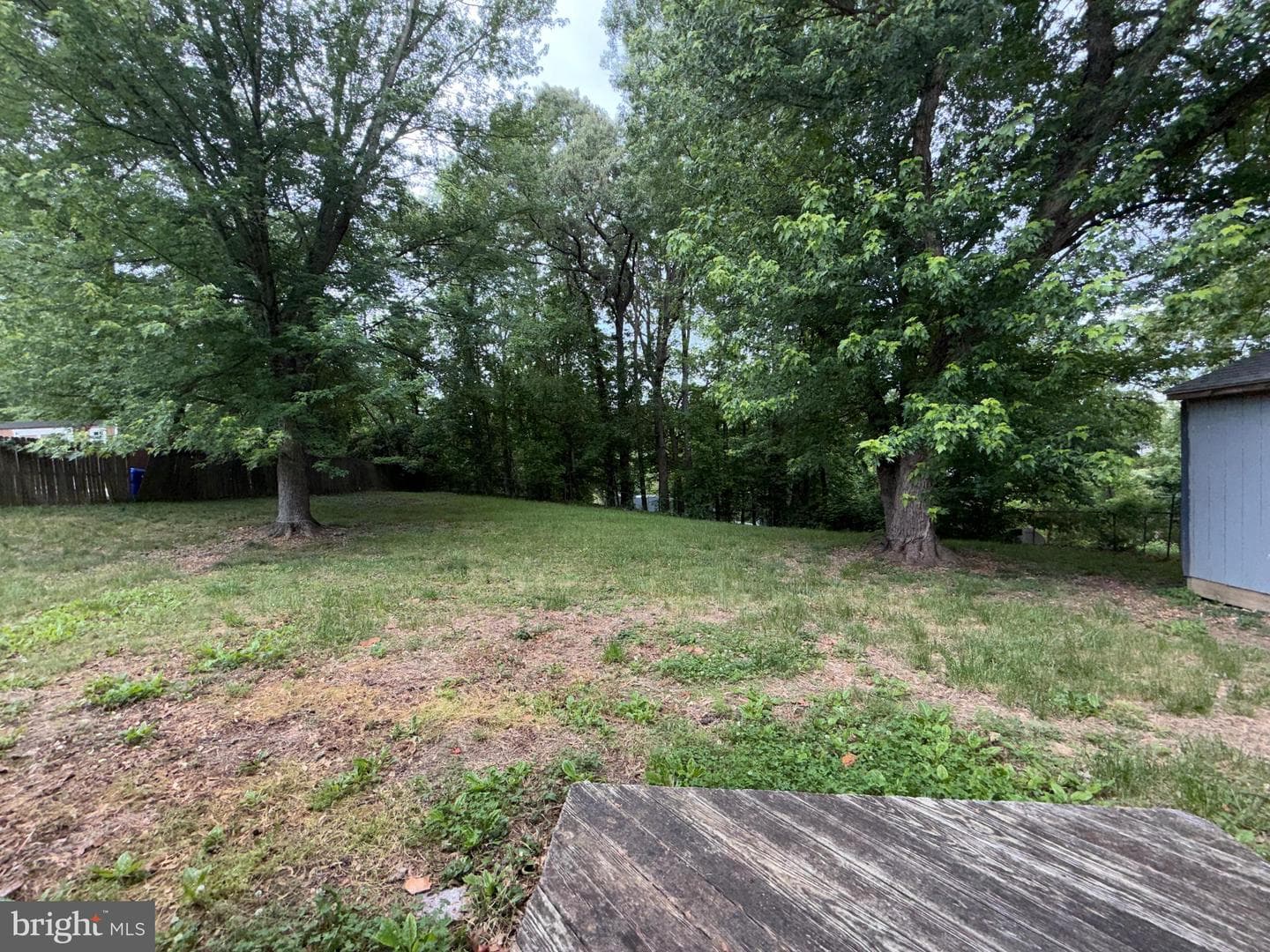 2063 Red Spruce Court photo 24