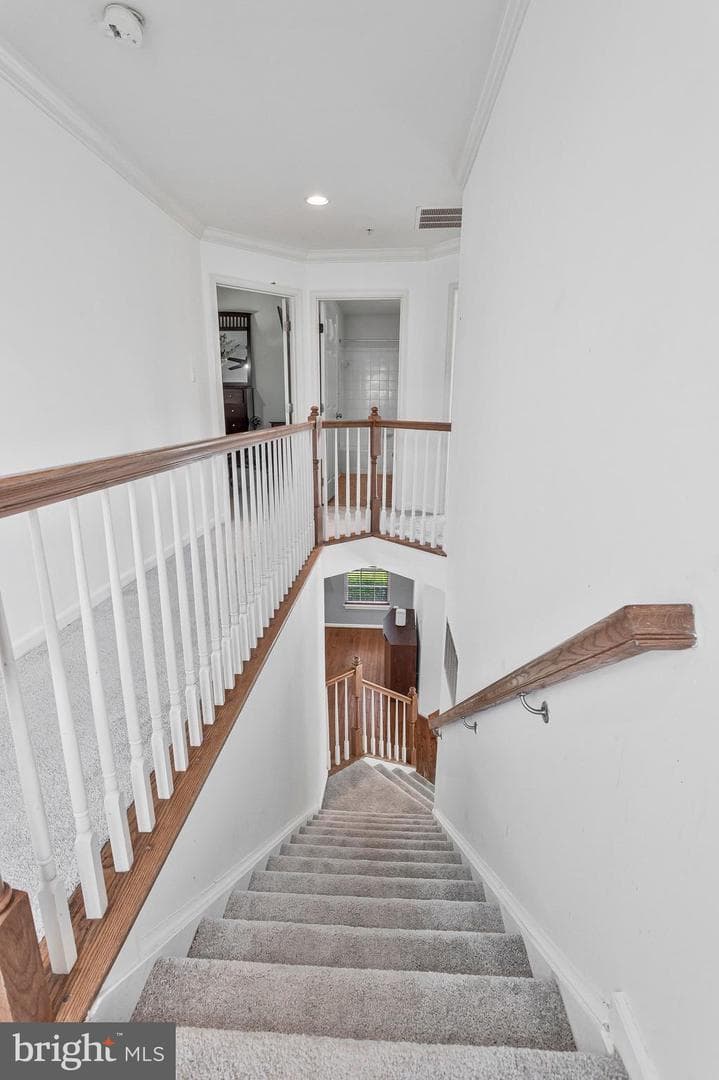 9252 Senna Court photo 54