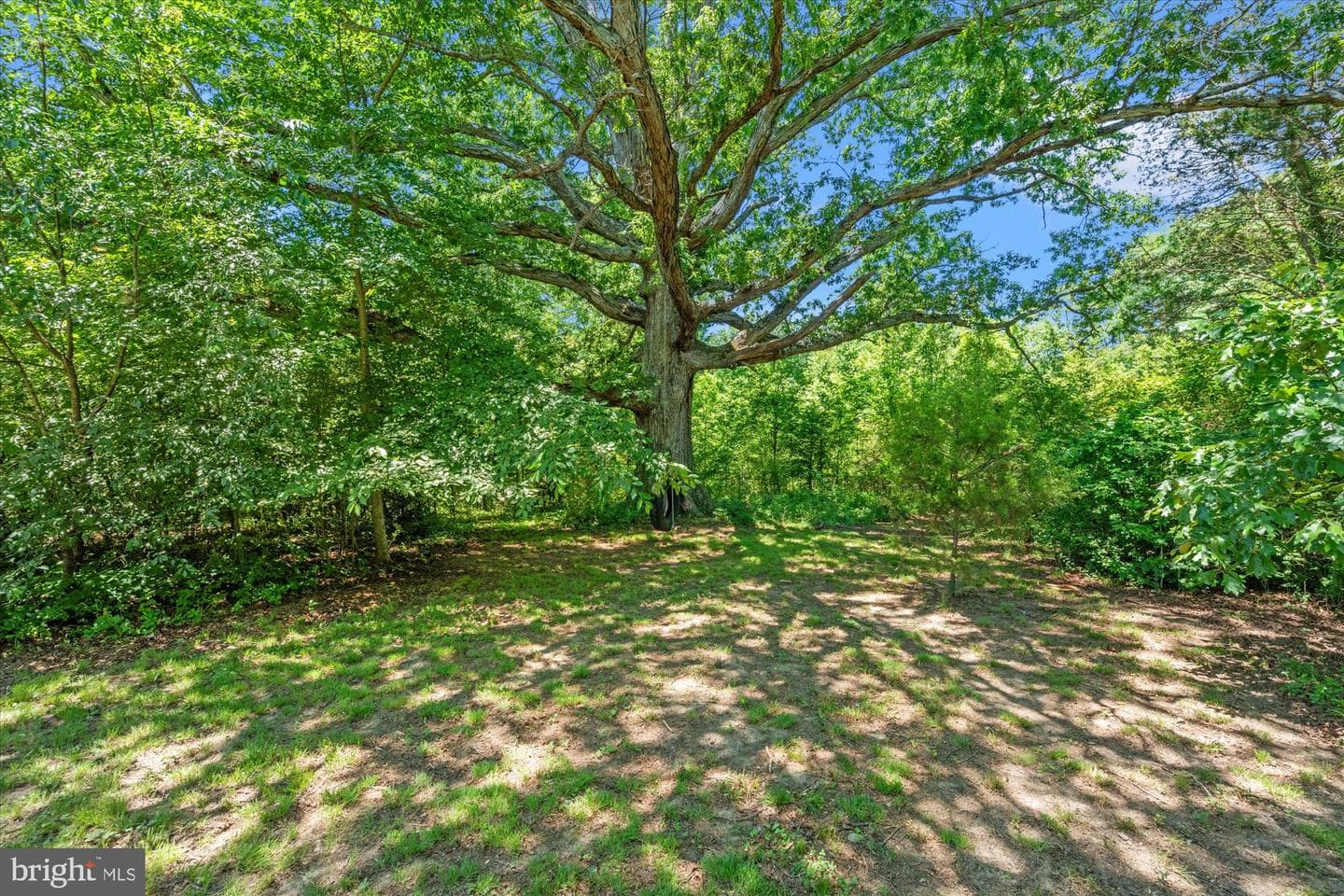4730 Bicknell Road photo 65