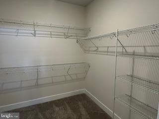10109 Shenandoah Lane photo 11