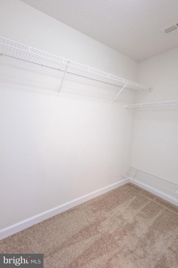 12438 Whisper Creek Court photo 41