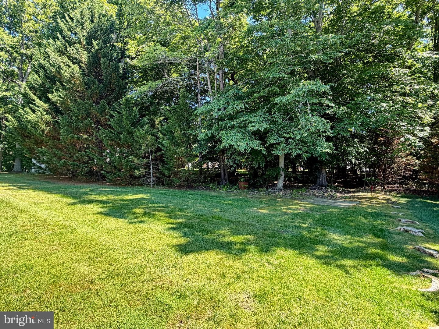 6499 Aura Drive photo 20