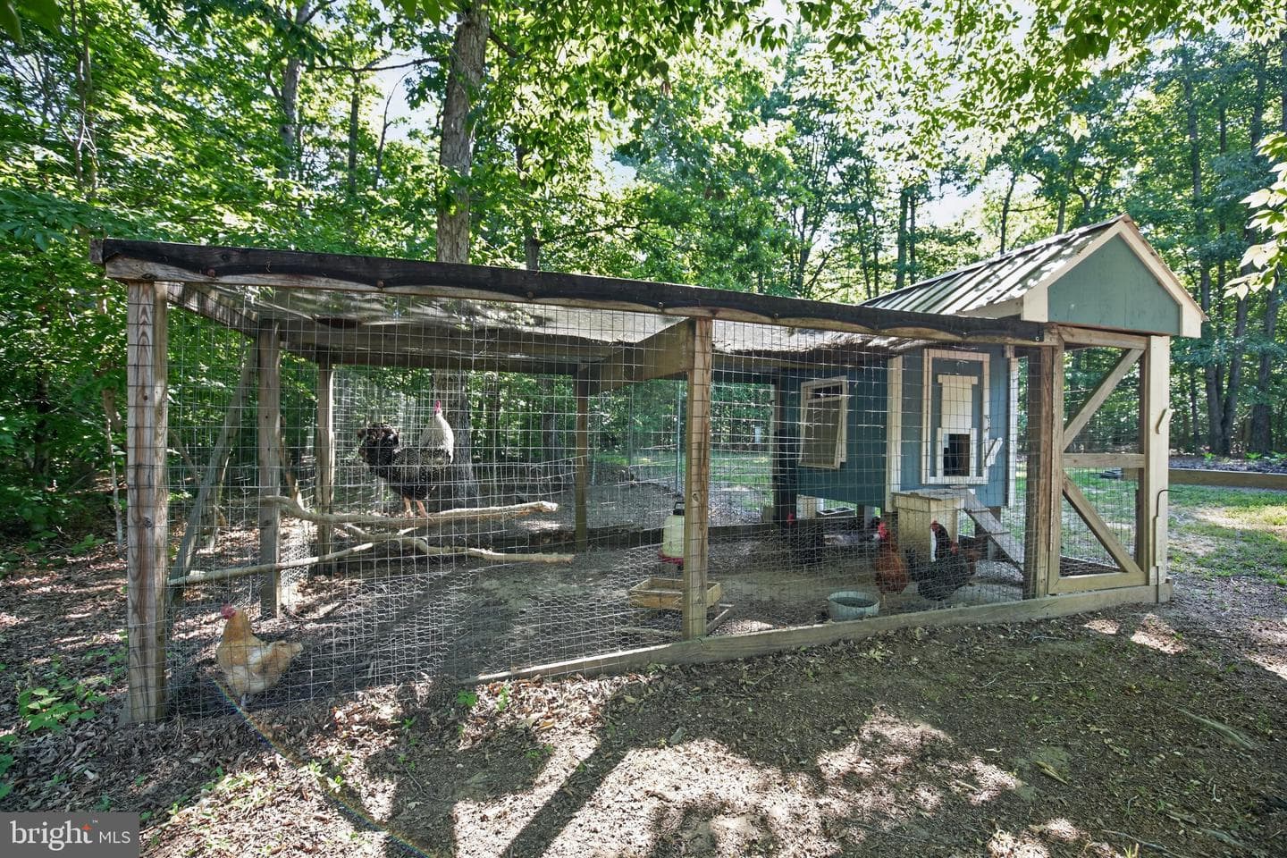 11645 Mount Victoria Road photo 34