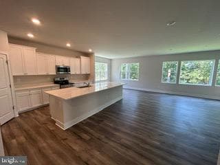 10083 Shenandoah Lane photo 11