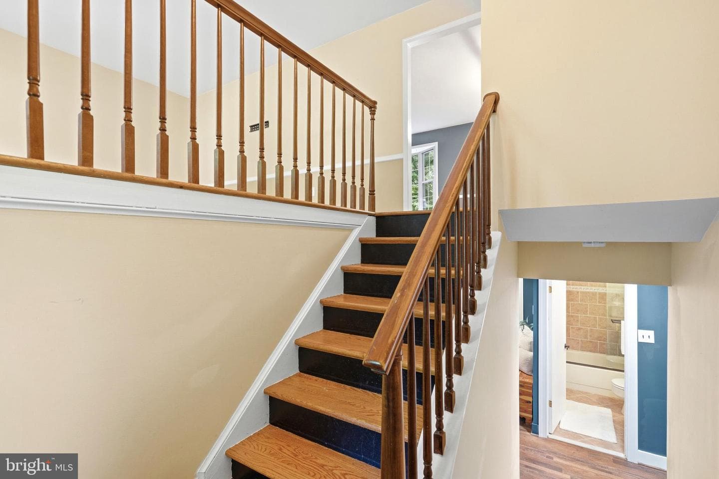5317 Lily Court photo 9