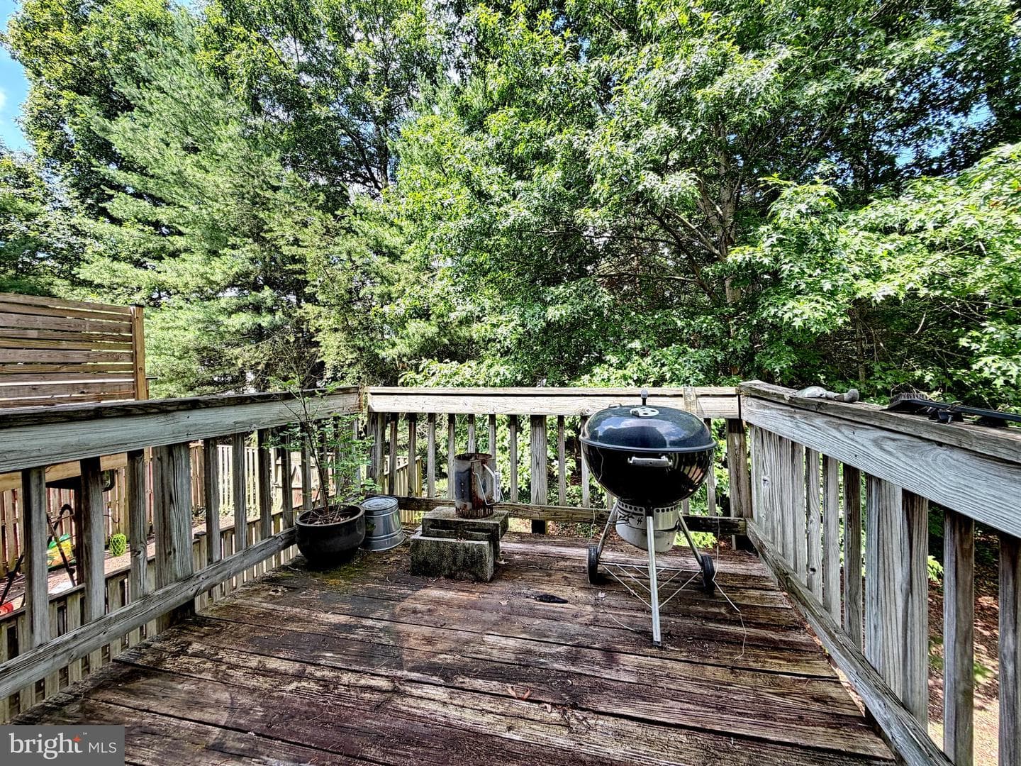 10186 Tree Frog Place photo 38