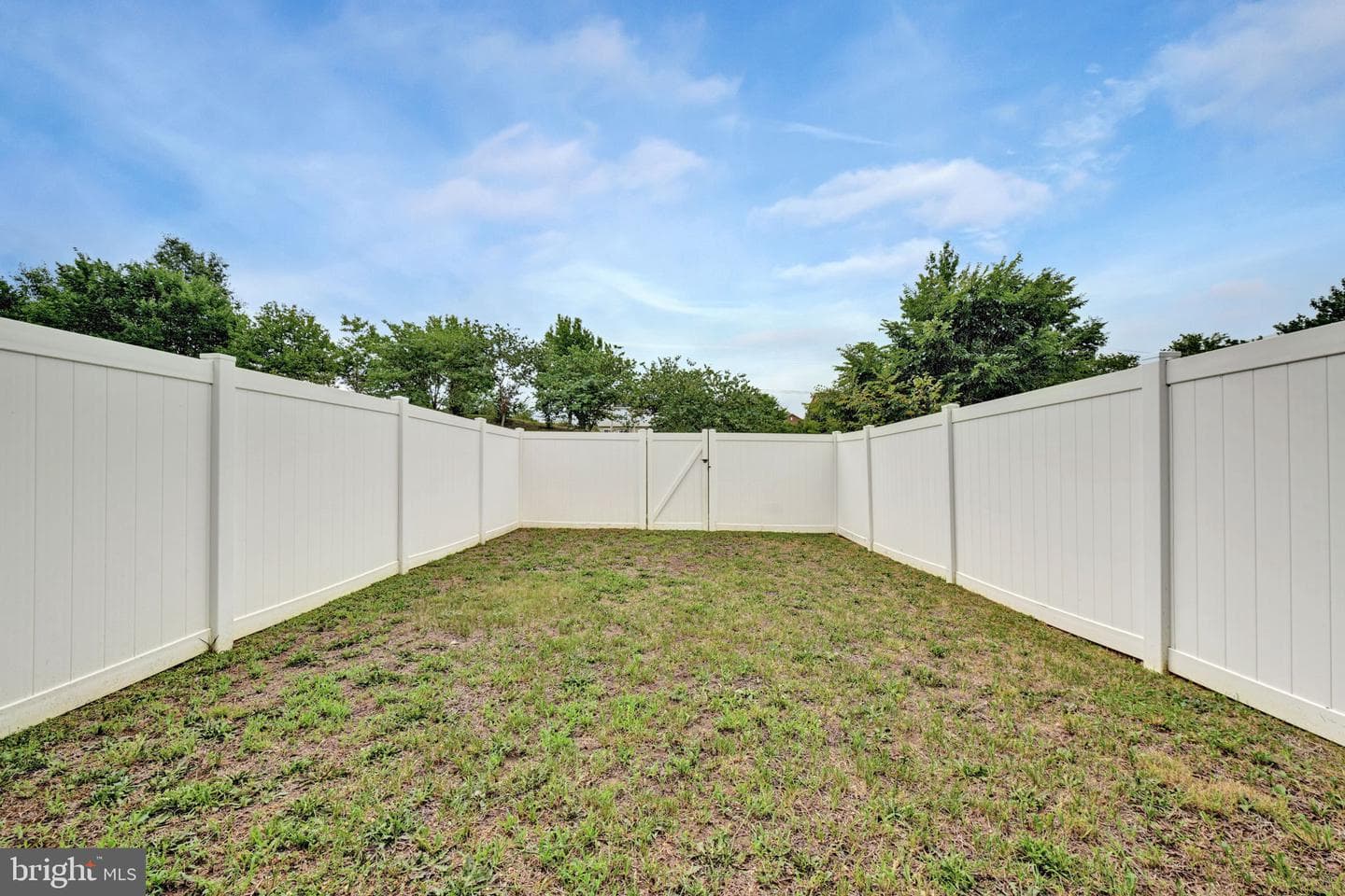11752 Palm Desert Place photo 49