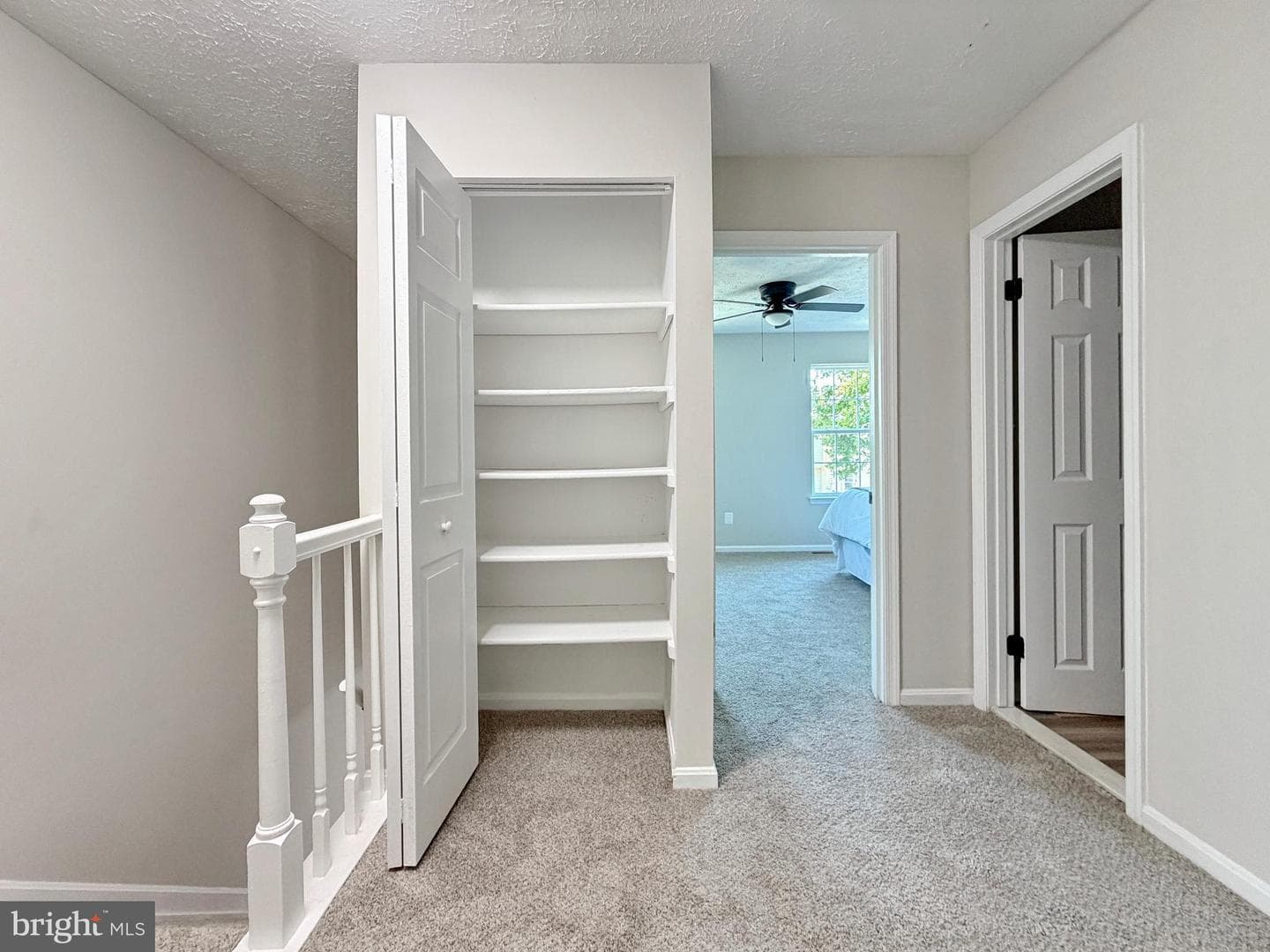 16 Chinaberry Lane photo 23