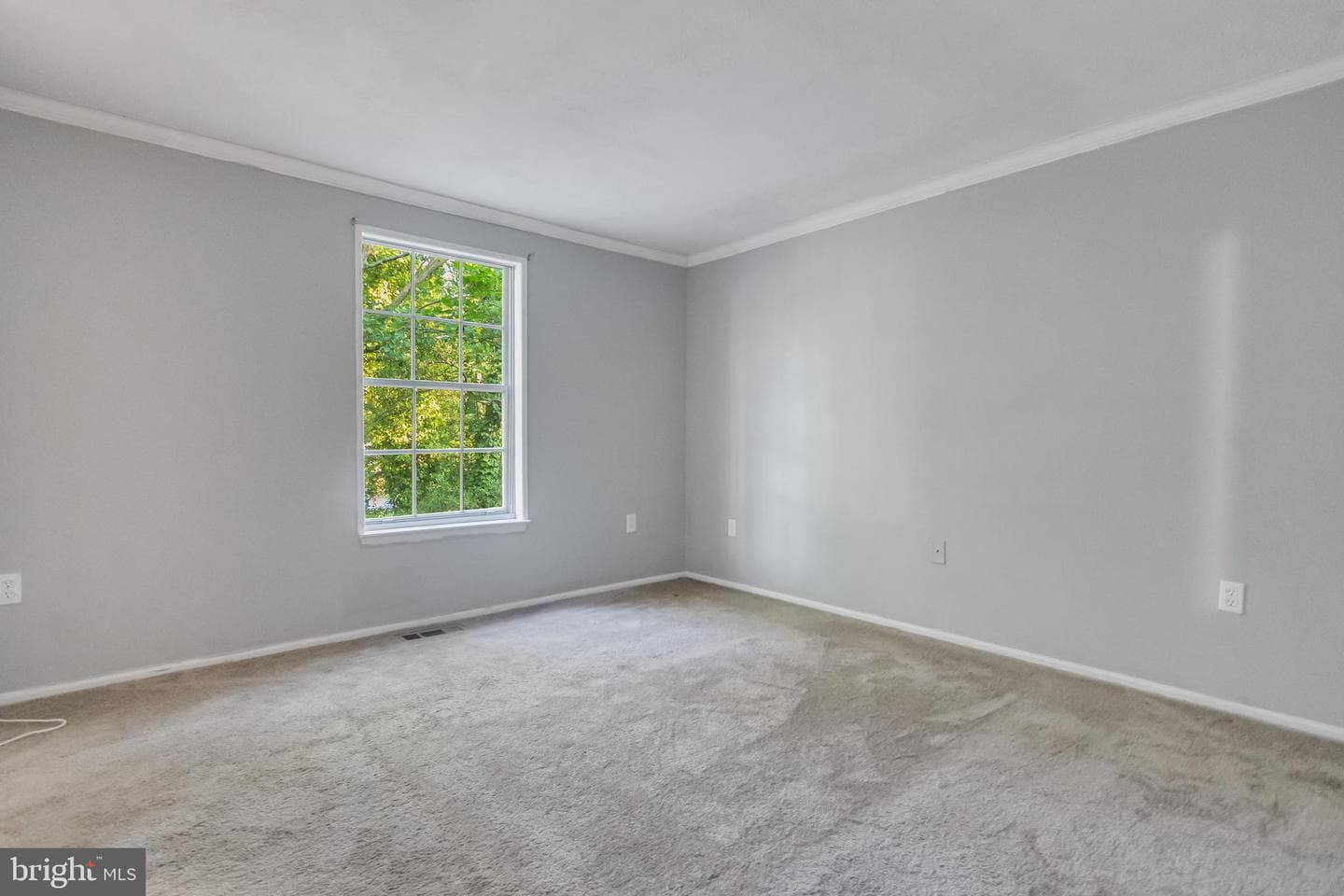 2583 Robinson Place photo 18