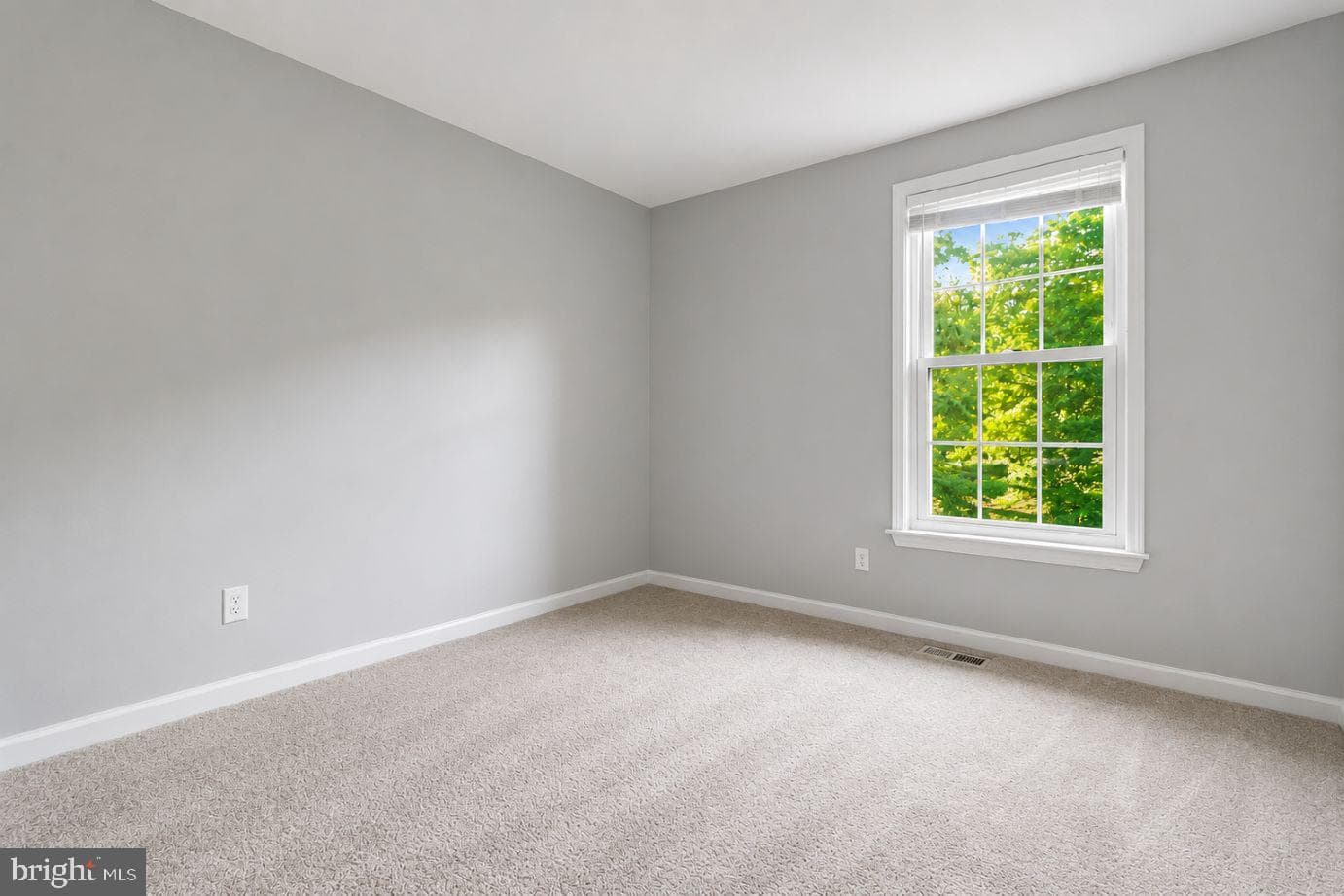 2583 Robinson Place photo 24