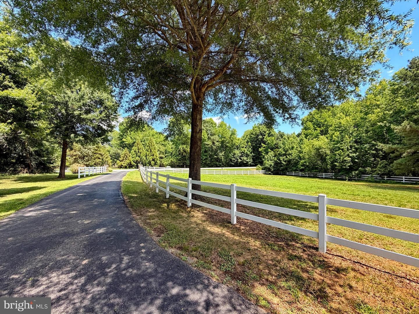 13655 Waverly Point Road photo 12