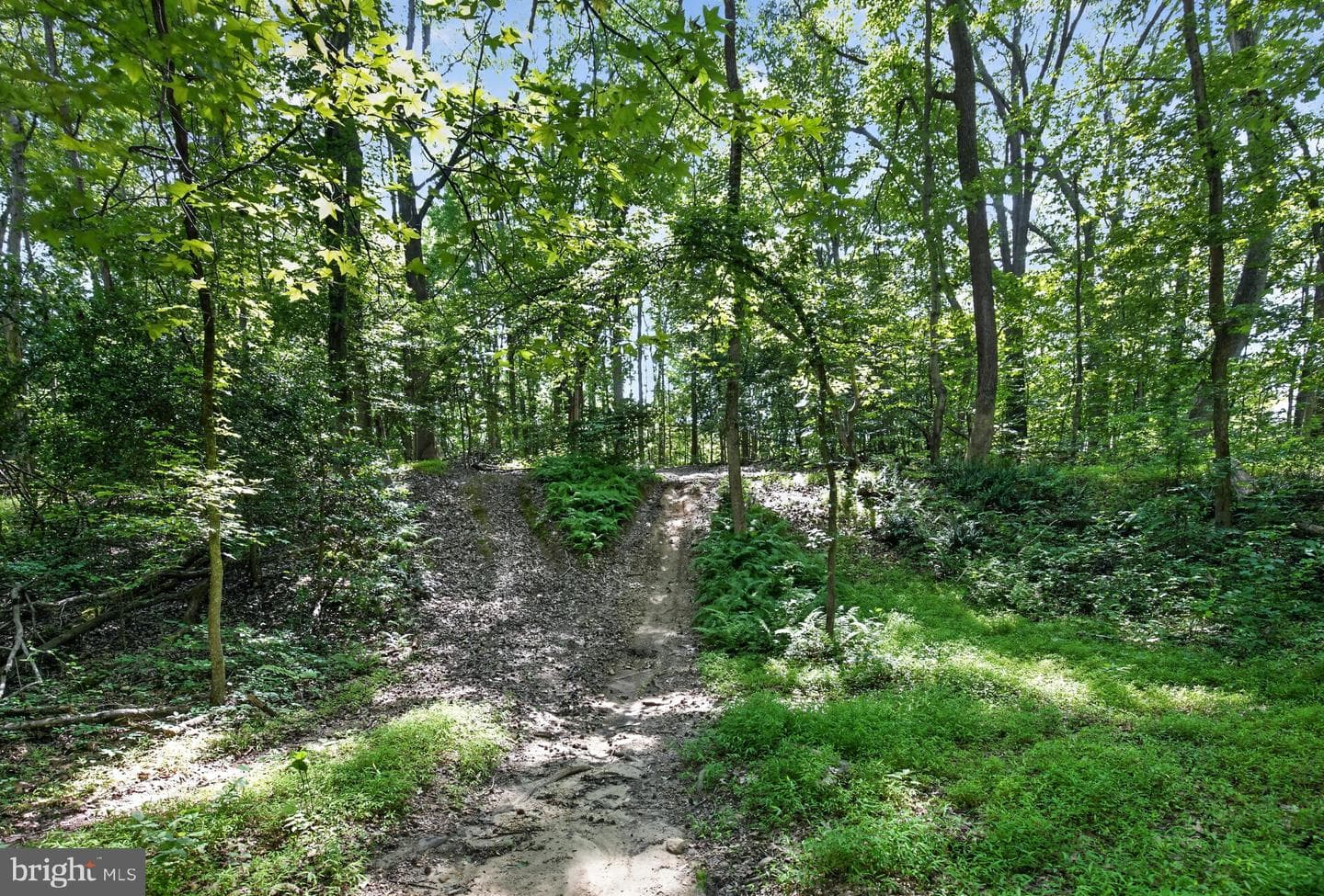 11450 Edge Hill Road photo 53