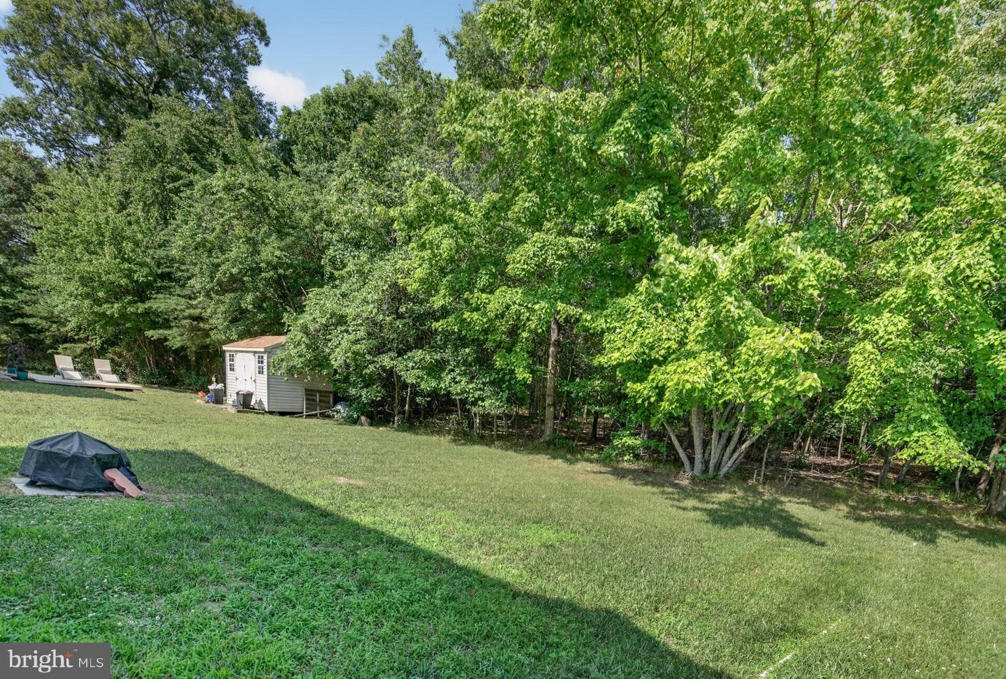 10608 Quillback Street photo 5