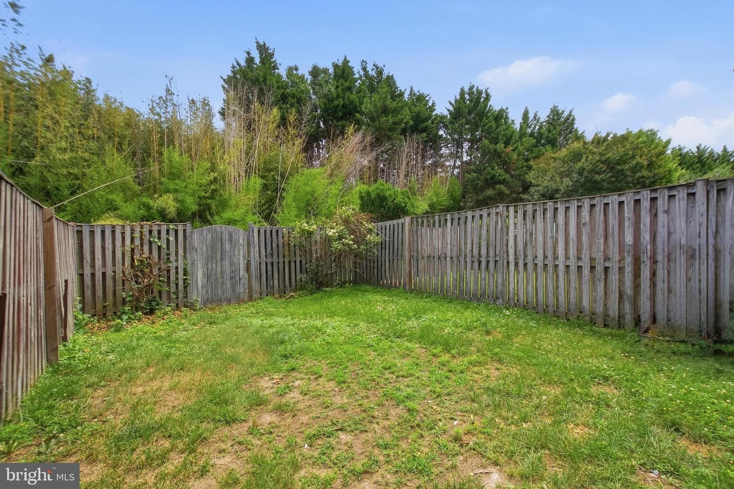 11324 Snow Owl Place photo 36