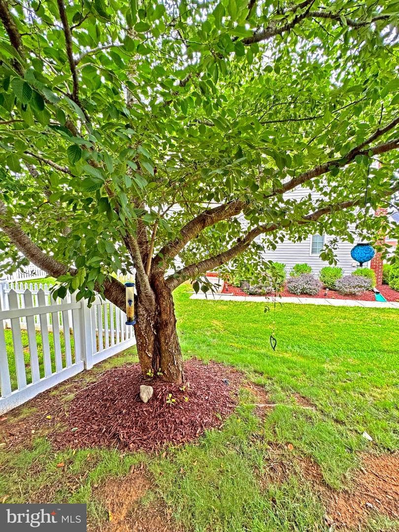 1004 Oats Drive photo 21