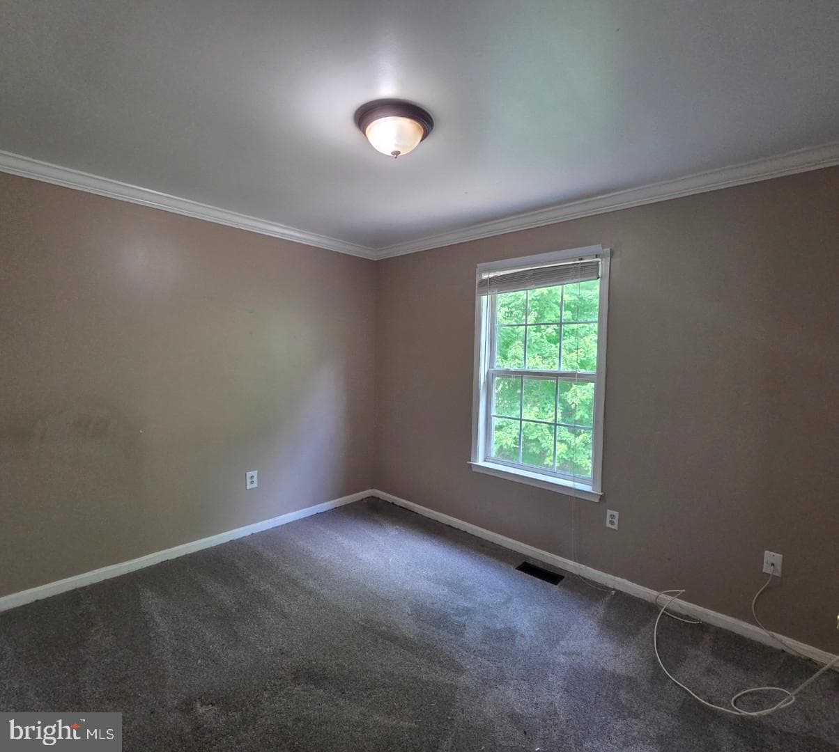 8264 Cheswolde Court photo 27