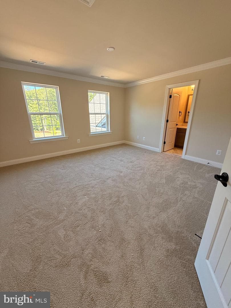 12335 Calverts Run Court photo 7
