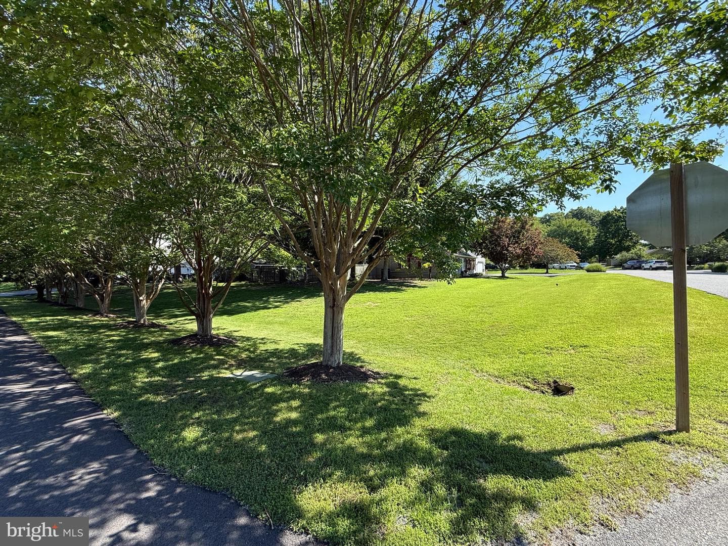207 Persimmon Court photo 67