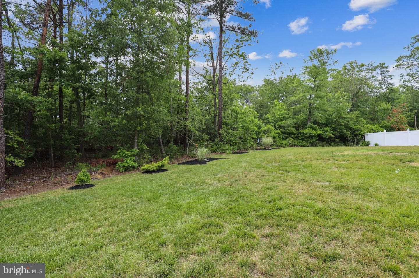 9831 Rhine Court photo 41
