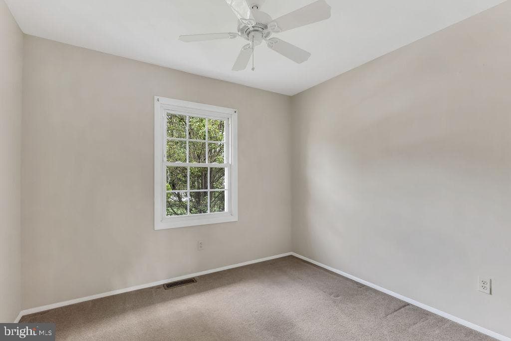 810 Kenyon Avenue photo 18