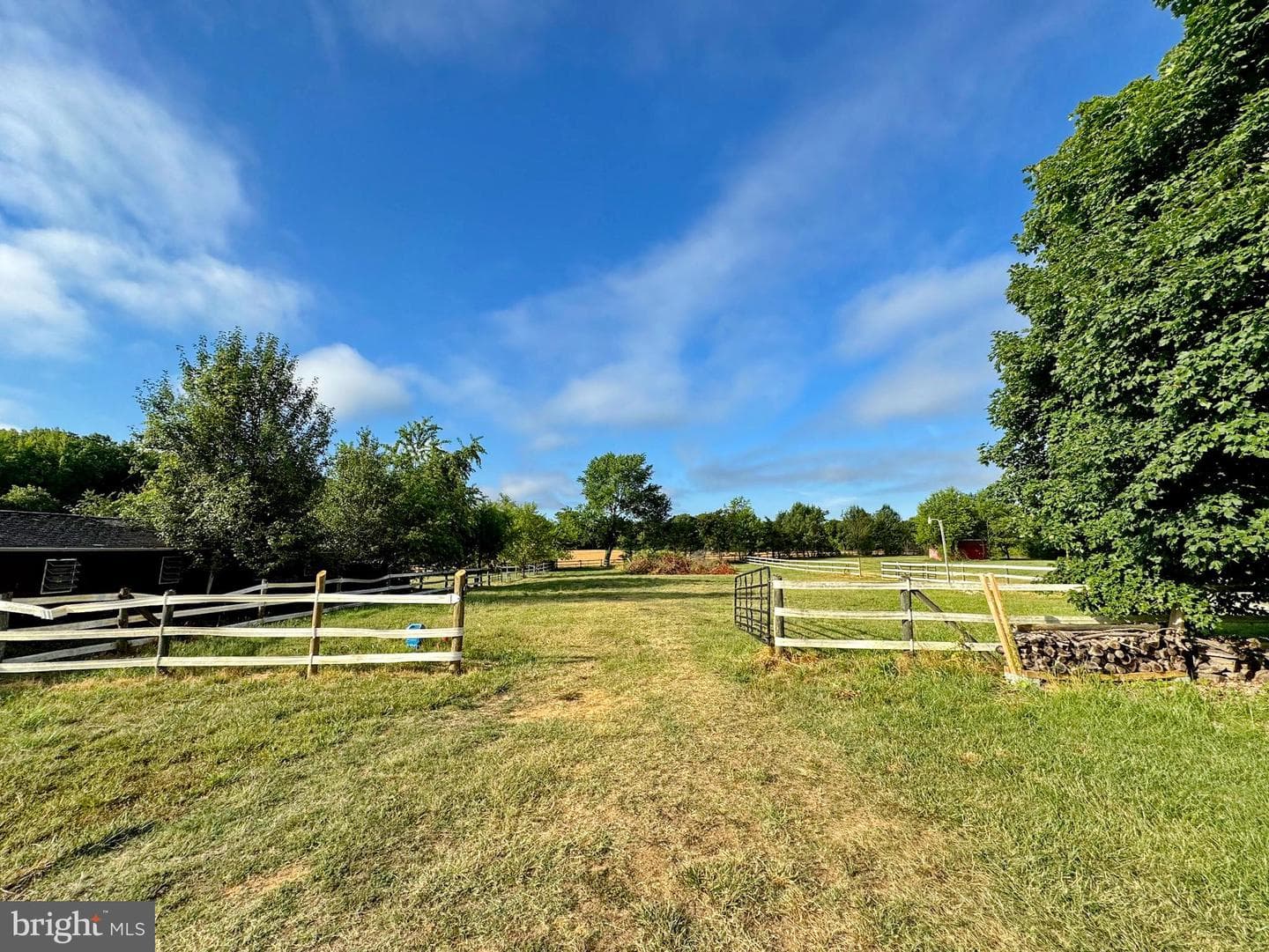 8530 Wedding Drive photo 27