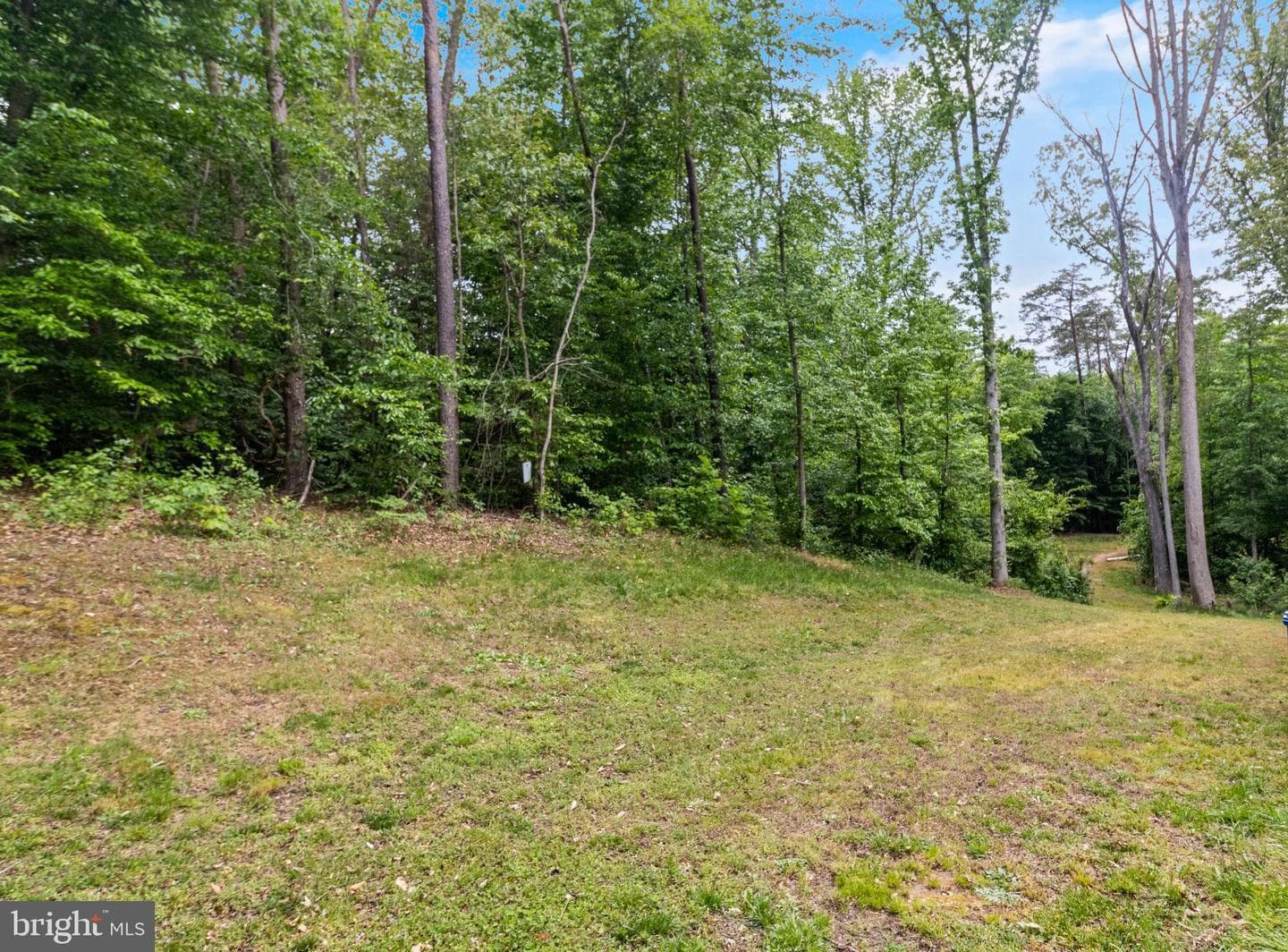 8055 Shannon Woods Place photo 39