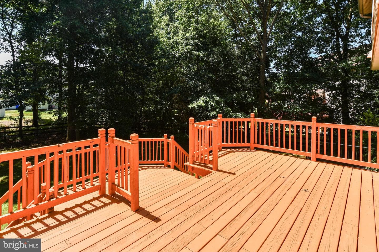 2406 Berry Thicket Court photo 21