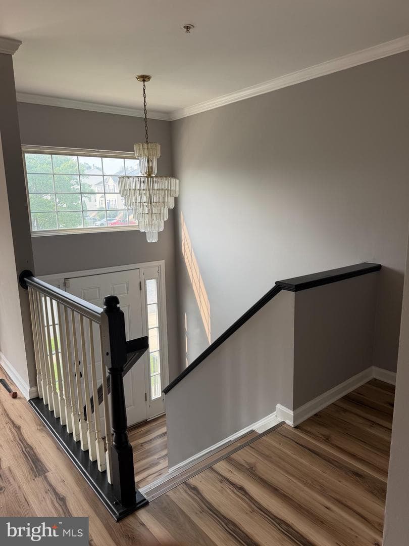 2655 Avon Place photo 4