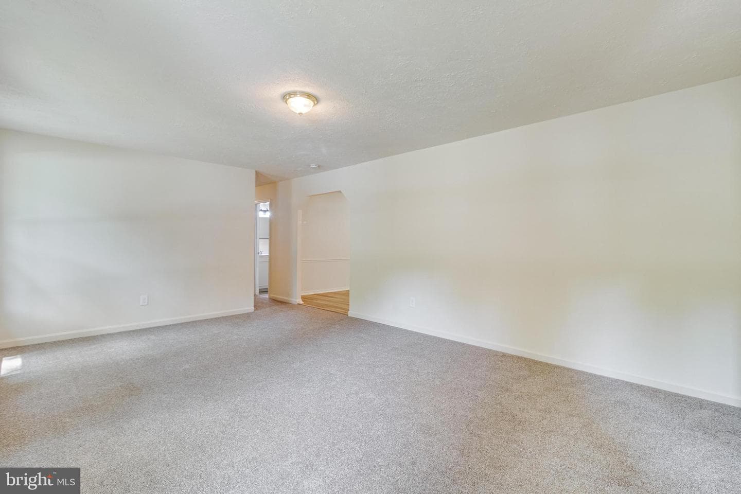 11516 Timberbrook Drive photo 13
