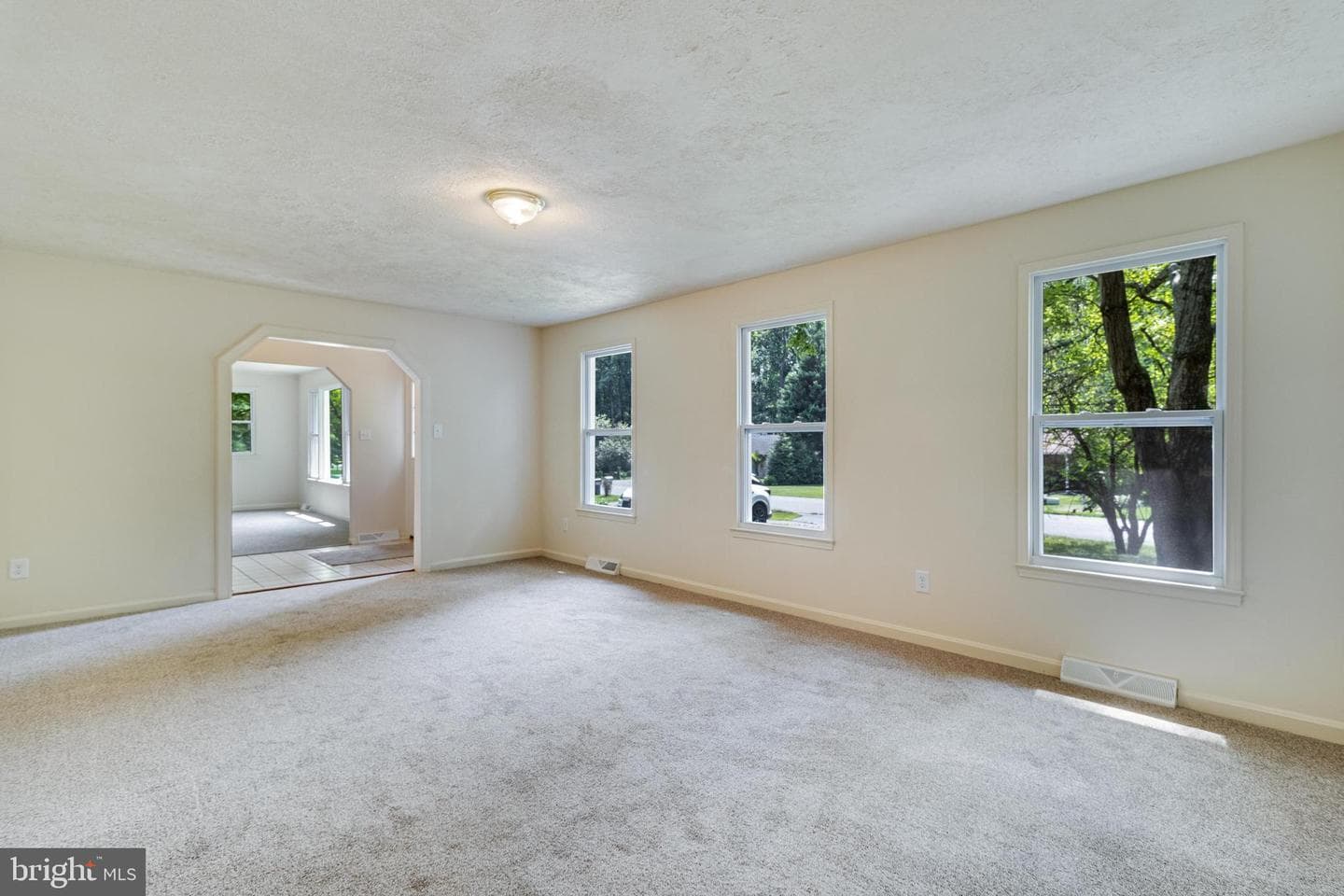 11516 Timberbrook Drive photo 15