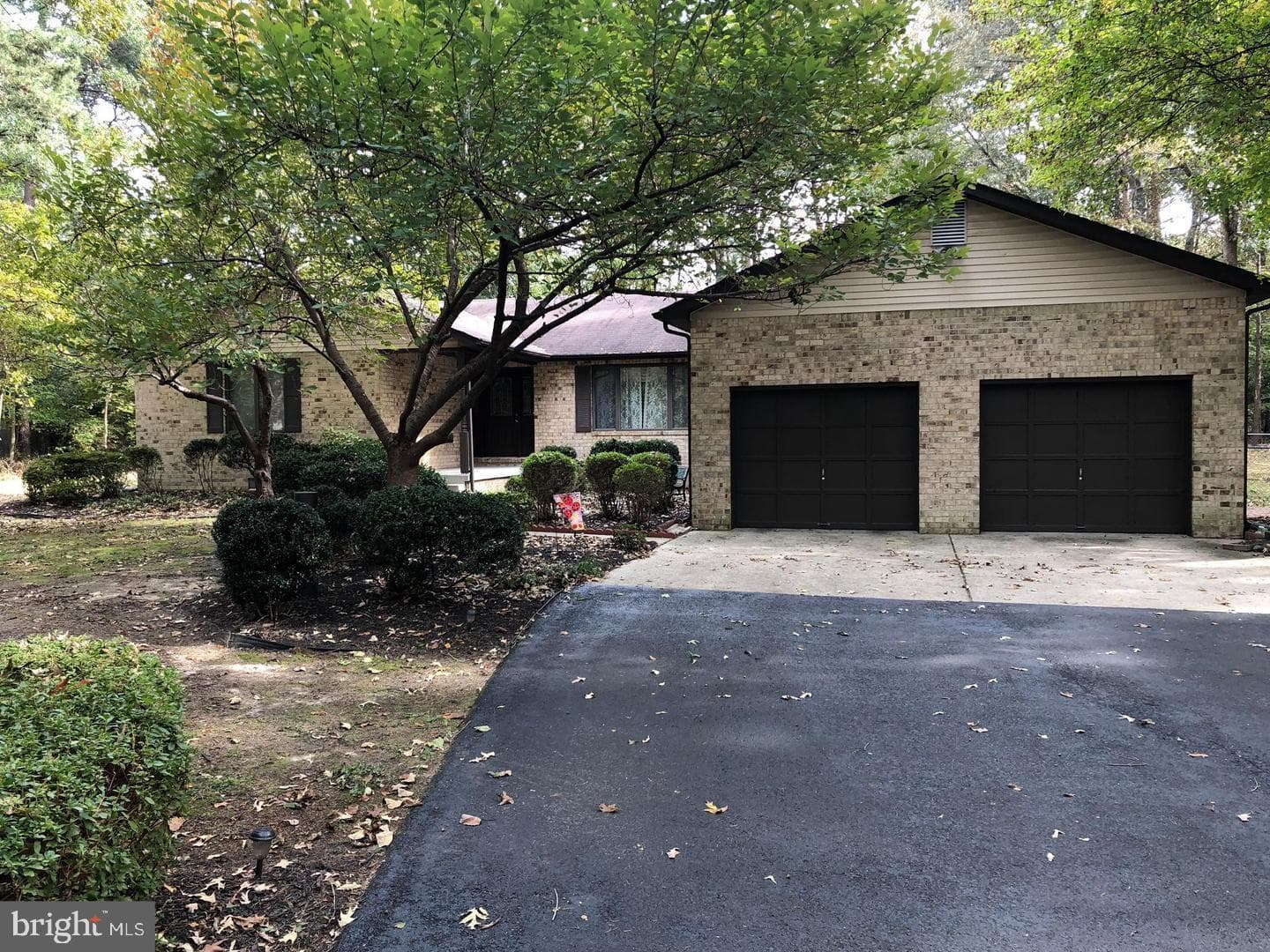 4628 Duley Drive photo 1