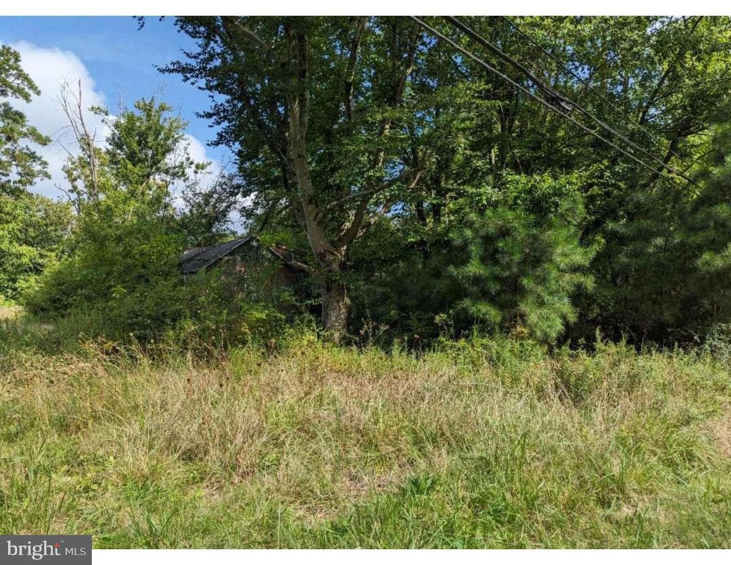 23547 Jonestown Lane photo 3