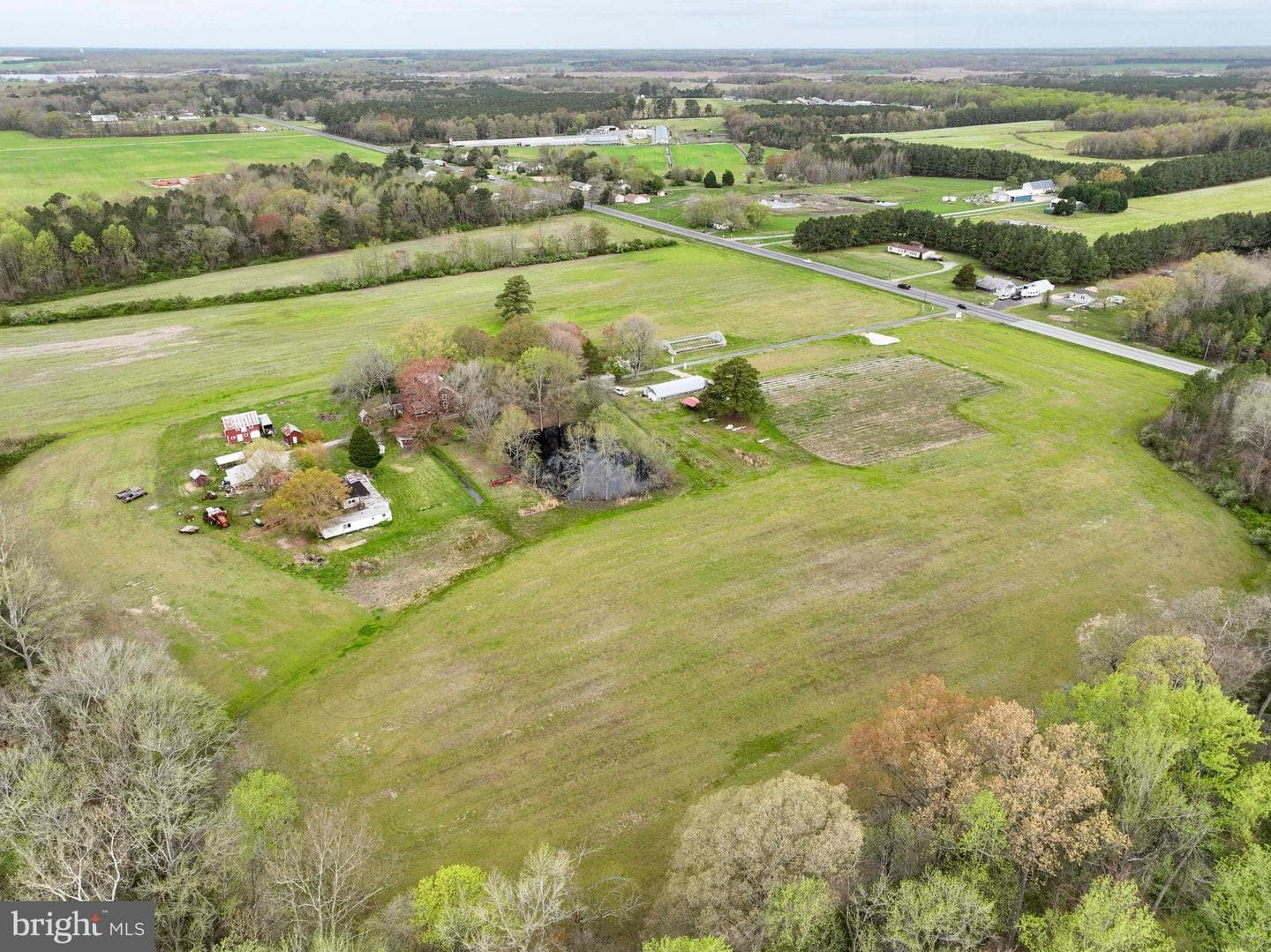 21719 Dover Bridge Road photo 5