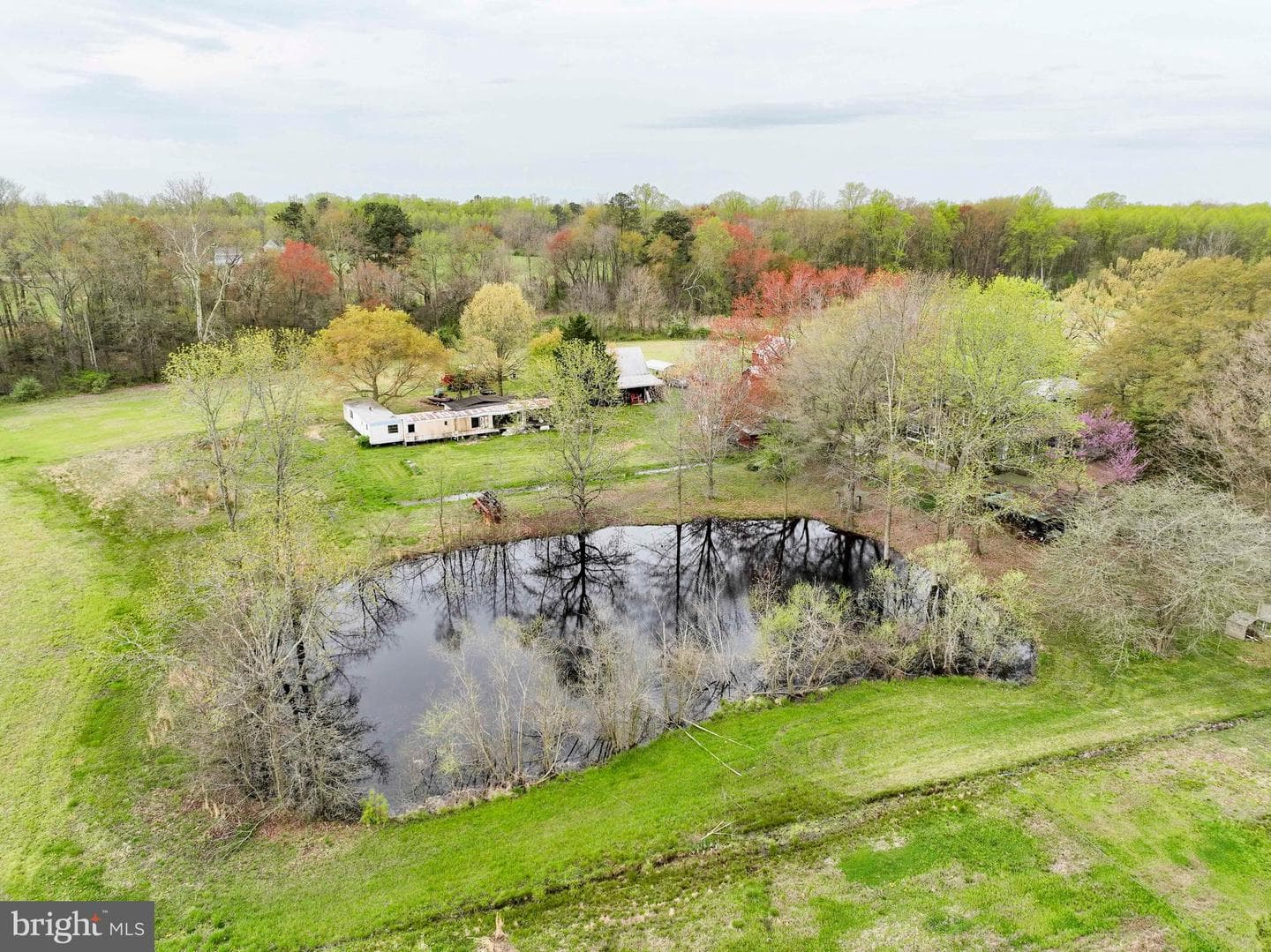 21719 Dover Bridge Road photo 8