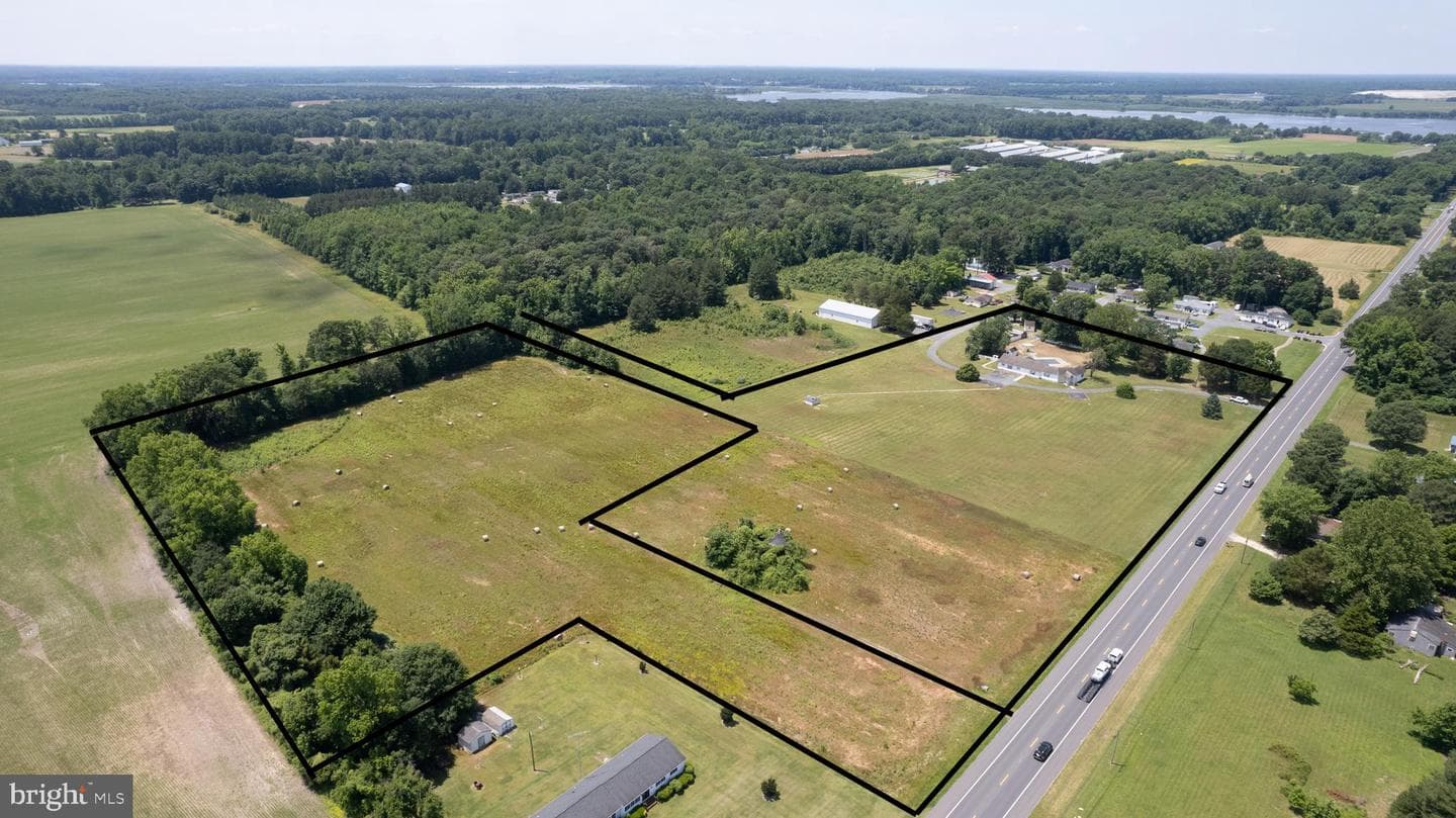 21303 Dover Bridge Road photo 37