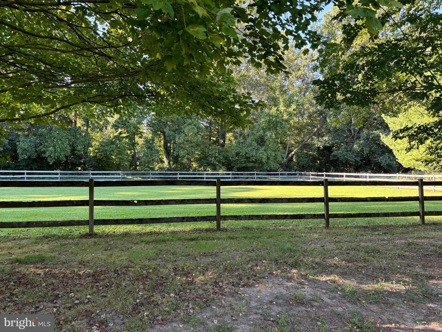 25778 Herring Lane photo 28