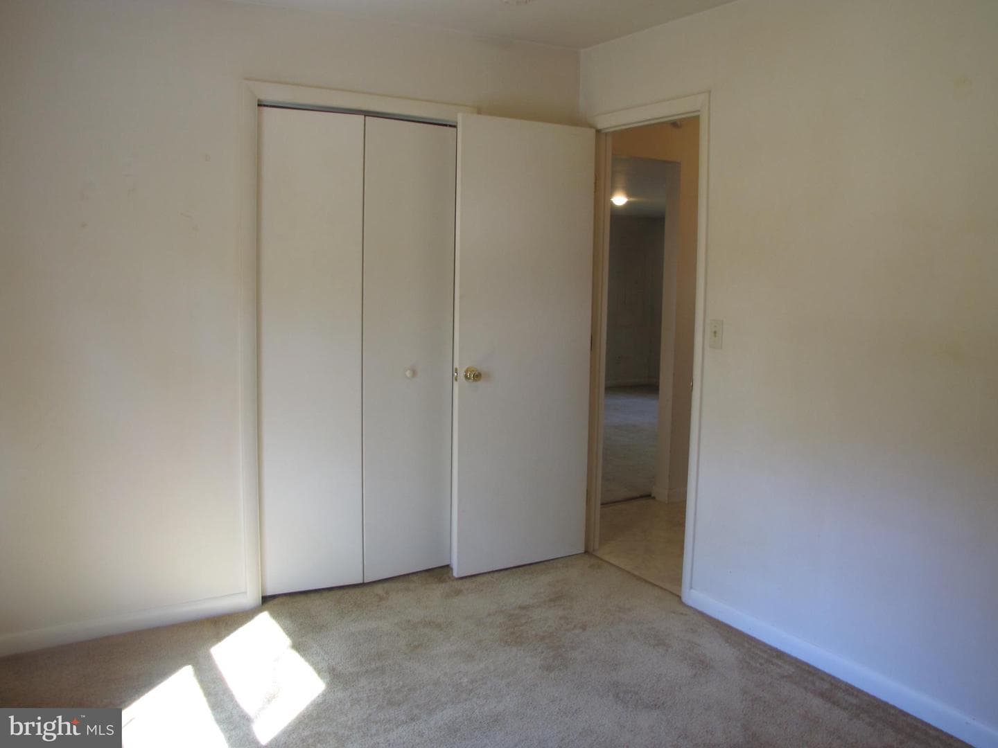 213 Central Avenue photo 20